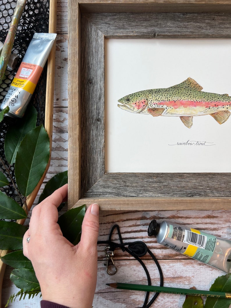 RAINBOW TROUT, Fish, Freshwater fish, fish painting, trout painting, fly fishing, 8x10, 11x14, art print image 3