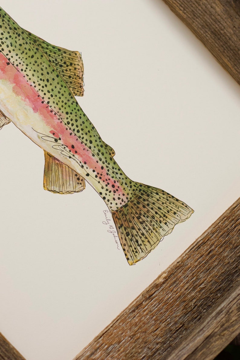 RAINBOW TROUT, Fish, Freshwater fish, fish painting, trout painting, fly fishing, 8x10, 11x14, art print image 9