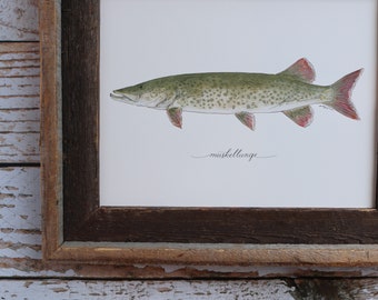 Muskellunge, Musky, Muskie Fishing, Freshwater Fish, Lake, Fisherman, Father's Day, Art Painting, Print , 8x10, 11x14