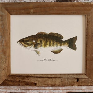 SMALLMOUTH BASS, Art Print, 8x10, 11x14, fish, fishing, fisherman, Father&#39;s Day