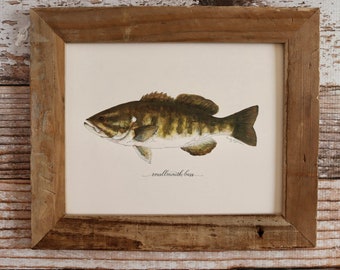 SMALLMOUTH BASS, Art Print, 8x10, 11x14, fish, fishing, fisherman, Father's Day