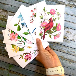 Set di biglietti d'auguri con uccelli / Biglietti d'auguri con articoli di cancelleria Bird Art / Uccello azzurro, Cincia crestata, Cincia, Cardinale, Ghiandaia, Zigolo giallo / Regali per ornitologi