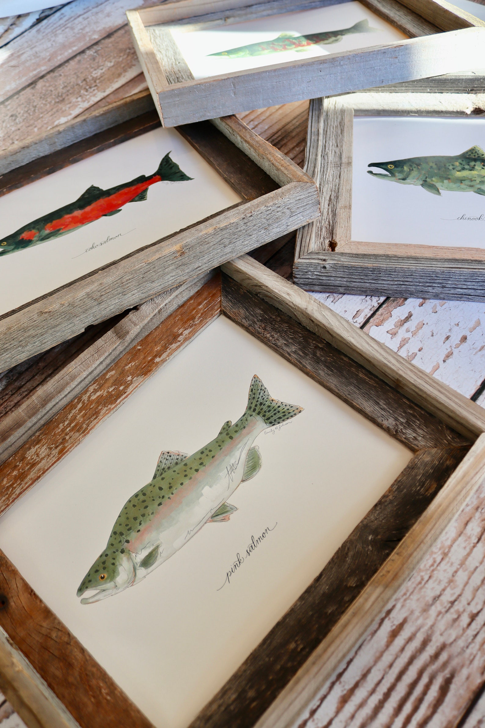 Pink Salmon Humpie Humpy Salmon Salmon Fishing Fish Art - Etsy