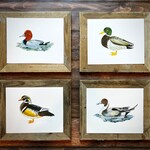Duck Art Prints
