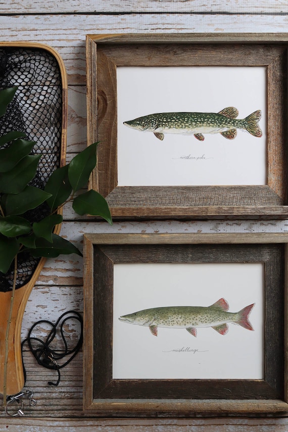 Northern Pike & Muskie Prints | Rustic Lake House Decor