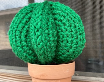 Cactus, crochet Amigurumi with Terracotta pot