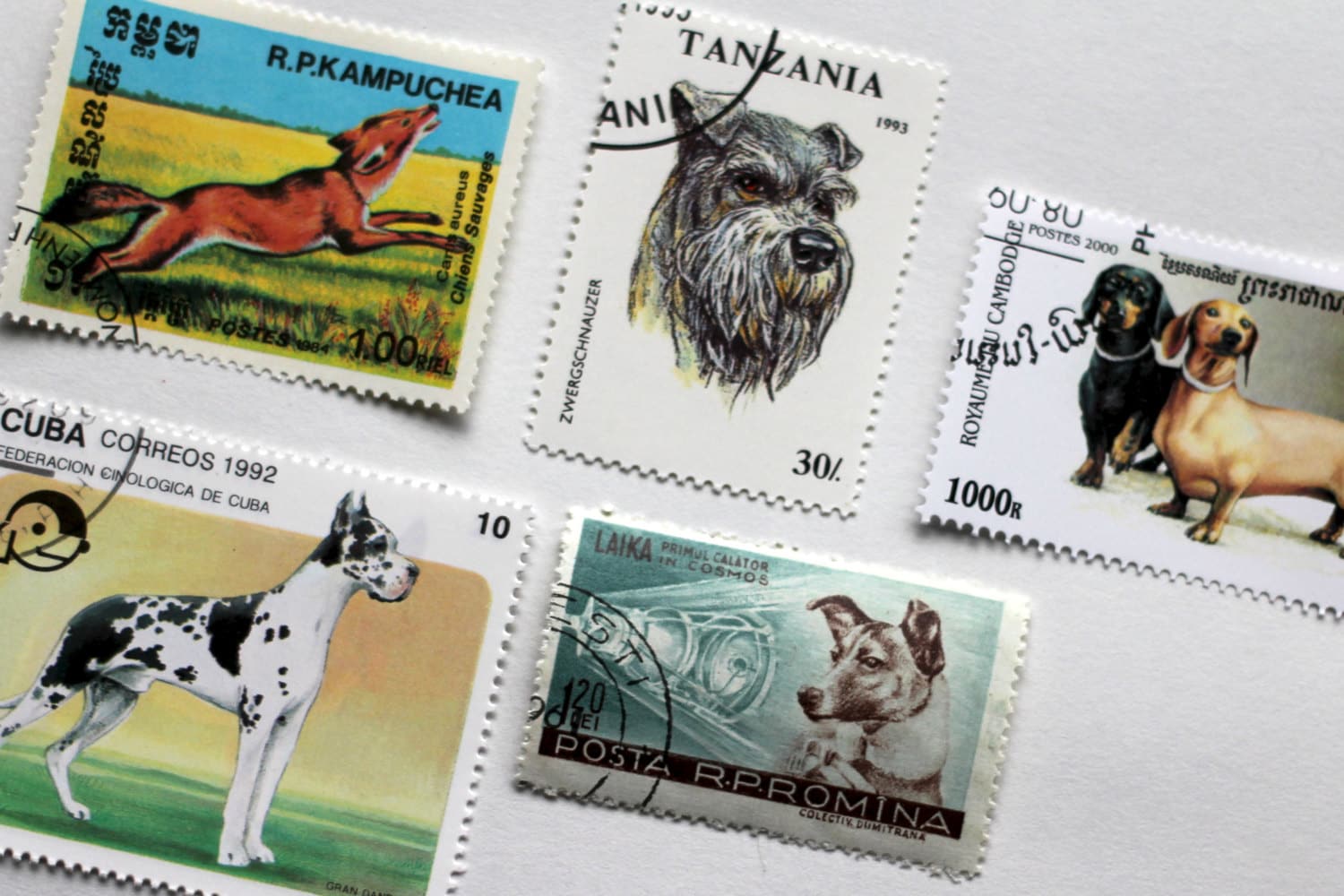 20x Vintage Dog Postage Stamps Canine Purebreeds All Different Etsy UK
