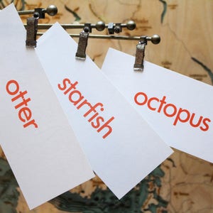 Vintage Picture Flashcards Otter Starfish Octopus Ocean Creatures Red Letters 1980s Equipment