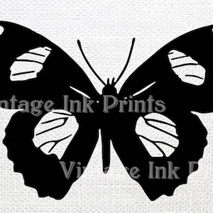 Vintage Butterfly ClipArt SVG Illustration Digital Graphic Antique Printable INSTANT DOWNLOAD
