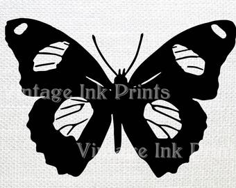 Vintage Butterfly ClipArt SVG Illustration Digital Graphic Antique Printable INSTANT DOWNLOAD