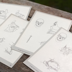 5x Skulls Bones Skeleton Flash Cards Nurse Party Doctor Graduate Steampunk Halloween Decor Anatomy Scrapbooking