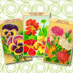 Étiquettes de paquet de graines de fleurs françaises vintage en téléchargement numérique Dahlia, pensée, capucines