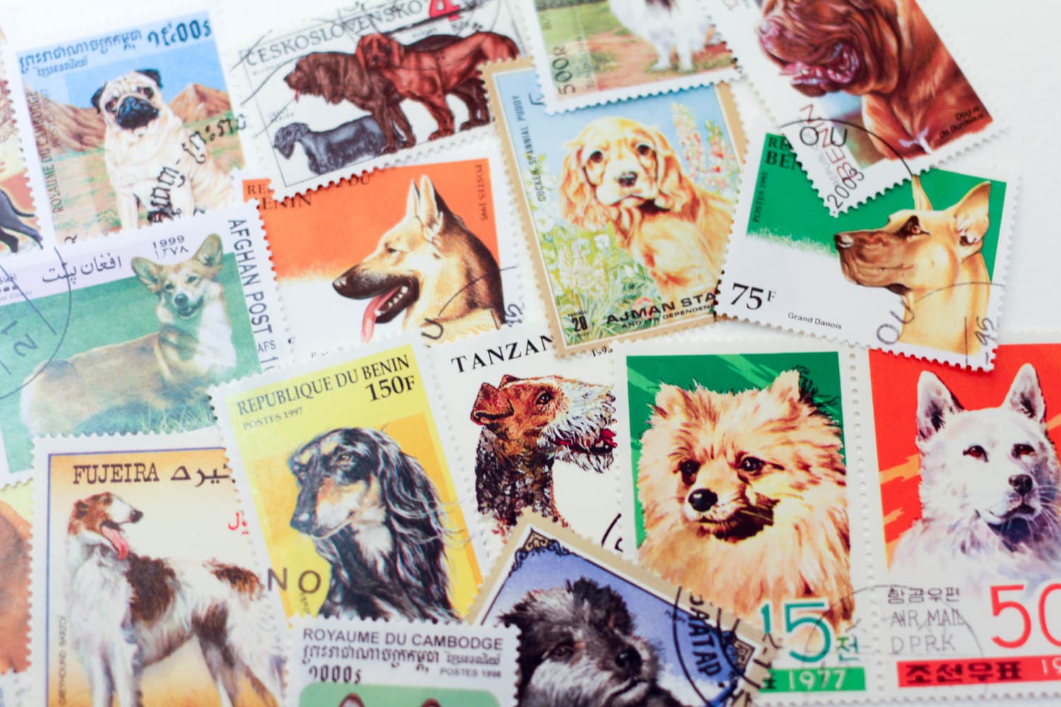 20 x Vintage Dog Postage Stamps Canine Purebreeds All Etsy