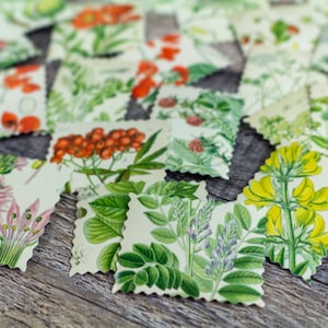 22x Botanical Stickers Floral Flowers Scalloped Edge Stamps All Different Altered Paper Scrapbooking Junk Journal Paper