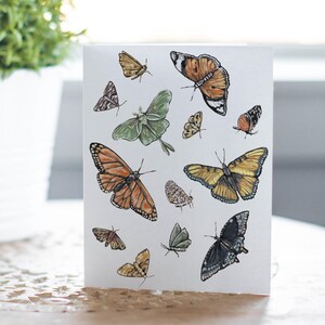 Tarjeta de mariposa y polilla, tarjeta rústica de naturaleza, tarjeta de felicitación para amantes de la naturaleza