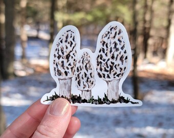 Morel Mushroom Vinyl Sticker, Foraging Sticker, Mushroom Water Bottle Sticker, Rustic Laptop Sticker, Vinyl Decal, Woodland, Nature