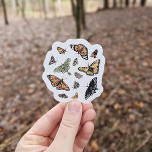 Butterfly and Moth Vinyl Sticker, Water Bottle Sticker, Laptop Sticker, Vinyl Decal
