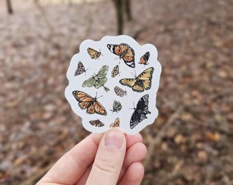 Butterfly and Moth Vinyl Sticker, Water Bottle Sticker, Laptop Sticker, Vinyl Decal