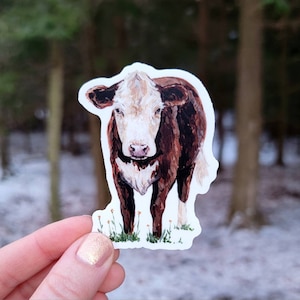 Cow Vinyl Sticker, Cow Water Bottle Sticker, Hereford Laptop Sticker, Vinyl Decal, Farm Animal, Cow, Hereford Cow
