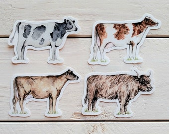 May include: Four watercolor illustrations of cows on a white wood background. The cows are all different breeds and colors, including black and white, brown and white, and brown. The illustrations are all in a realistic style.