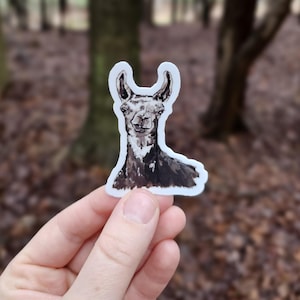 Llama Vinyl Sticker, Water Bottle Sticker, Laptop Sticker, Vinyl Decal, Farm Animal, Llama Lover
