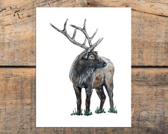 Elk Art Print, Rustic Forest Animal Decor, Woodland Art Print, Rustic Elk Art