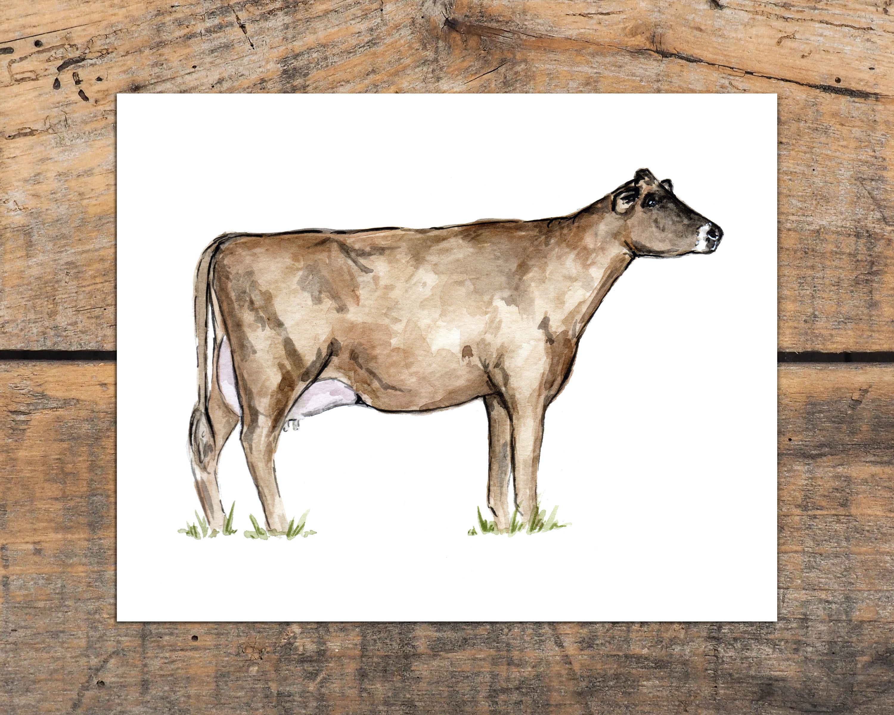 Jersey Cow Wall Art Print Rustic Jersey Cow Decor Farmhouse Etsy