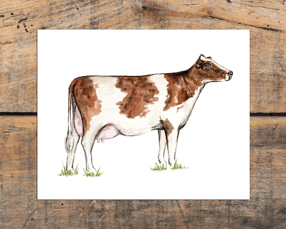 Cow Farmhouse Wall Art Print, Ayrshire, Shabby Chic Wall Art, Animal Room...