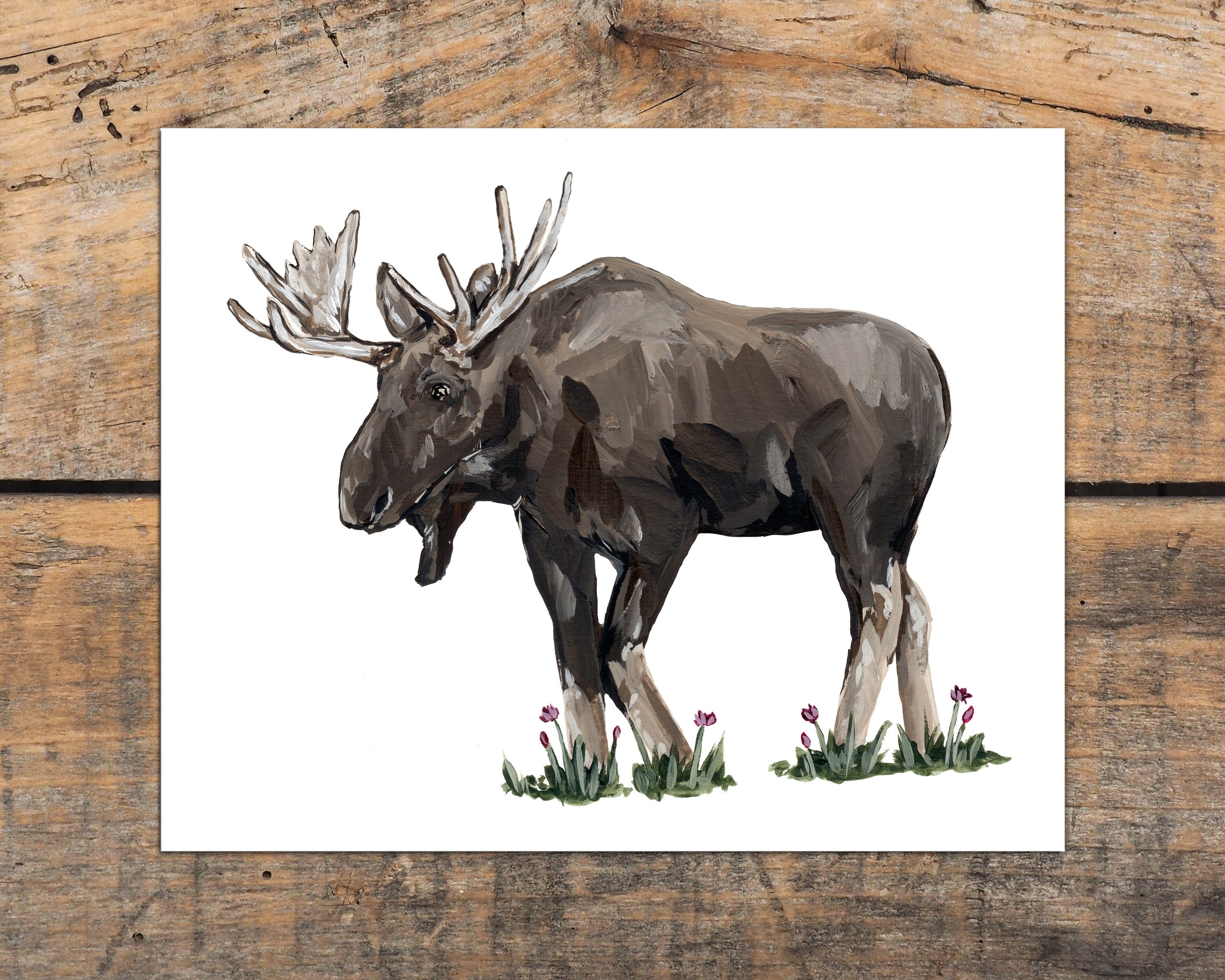 Antlers 515 Note Card Antlers 515 Note Card