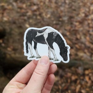 Black and White Horse Vinyl Sticker, Water Bottle Sticker, Laptop Sticker, Vinyl Decal, Farm Animal