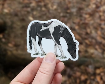 Black and White Horse Vinyl Sticker, Water Bottle Sticker, Laptop Sticker, Vinyl Decal, Farm Animal