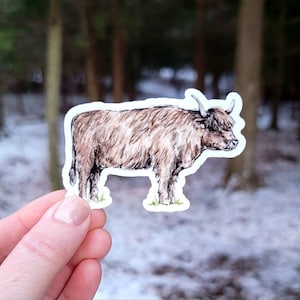 Highland Cow Vinyl Sticker, Cow Water Bottle Sticker, Laptop Sticker, Vinyl Decal, Farm Animal, Cow