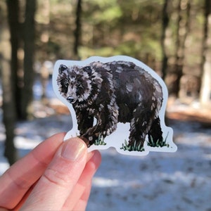 Bear Vinyl Sticker, Water Bottle Sticker, Laptop Sticker, Vinyl Decal, Forest Animal, Grizzly Bear Sticker