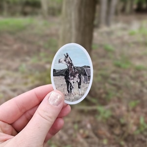 Llama Vinyl Sticker, Water Bottle Sticker, Laptop Sticker, Vinyl Decal, Farm Animal, Llama Lover