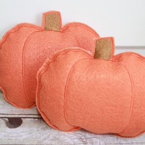 Felt Pumpkin In The Hoop Embroidery Machine Design for the 4x4 or 5x7 hoop