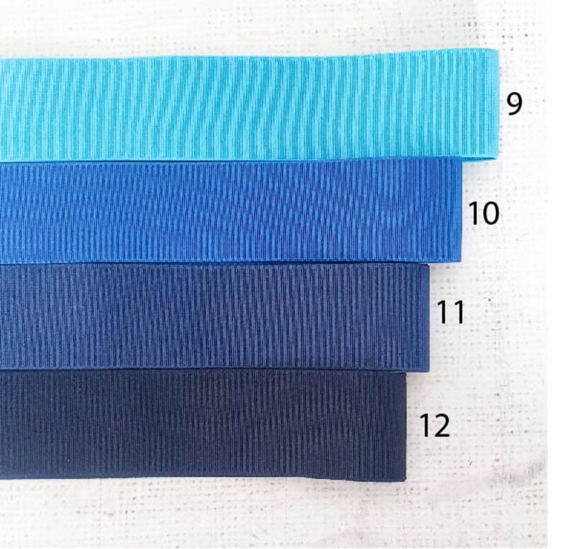 Pu&ograve; includere: Quattro larghezze diverse di nastro blu, dal blu chiaro al blu scuro. Il nastro &egrave; etichettato con i numeri 9, 10, 11 e 12.