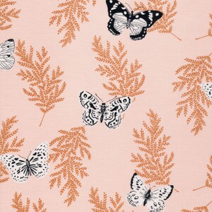 Fern - Flora - Cassidy Demkov - Organic Cotton - Cloud 9 Fabrics Fern - Flora - Cassidy Demkov - Organic Cotton - Cloud 9 Fabrics
