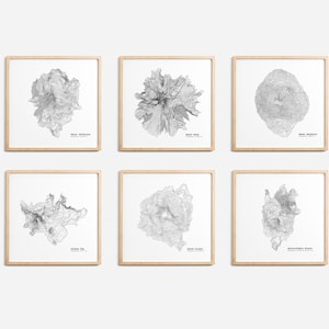 Oregon Mountains Topographic Map Art Print Set -  Hood Bachelor Three Sisters Broken Top Jefferson