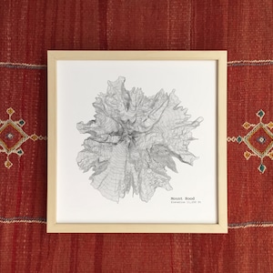 Mapa topográfico del Monte Hood, Oregón - Lámina artística