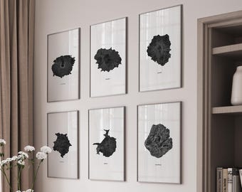 Washington Mountains Topographical Art Print Set Rainier Helens Adams Baker Glacier Olympus Archival Paper