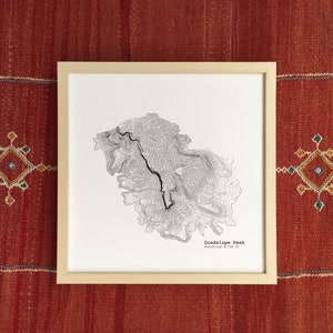 Guadalupe Peak, Signal Peak, Mappa topografica del Texas - Stampa artistica