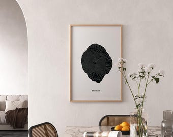 Mount Bachelor Oregon Topographical Art Print Archival Paper