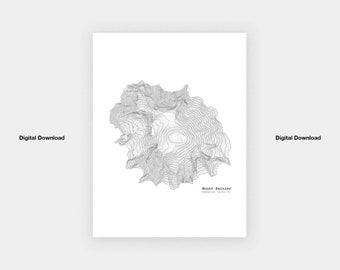 Mt. Rainier Washington DIGITAL ONLY Printable - Topographic Map