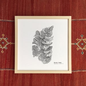 Mappa topografica Borah Peak Mountain Idaho - Stampa artistica