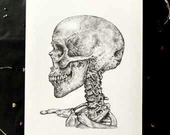 Human Skull with Vertebrae 11" X 14" Anatomy Dead Death Spine Goth Witch Witchy Bones Love Spirit Art Body Halloween Afterlife Medical Draw