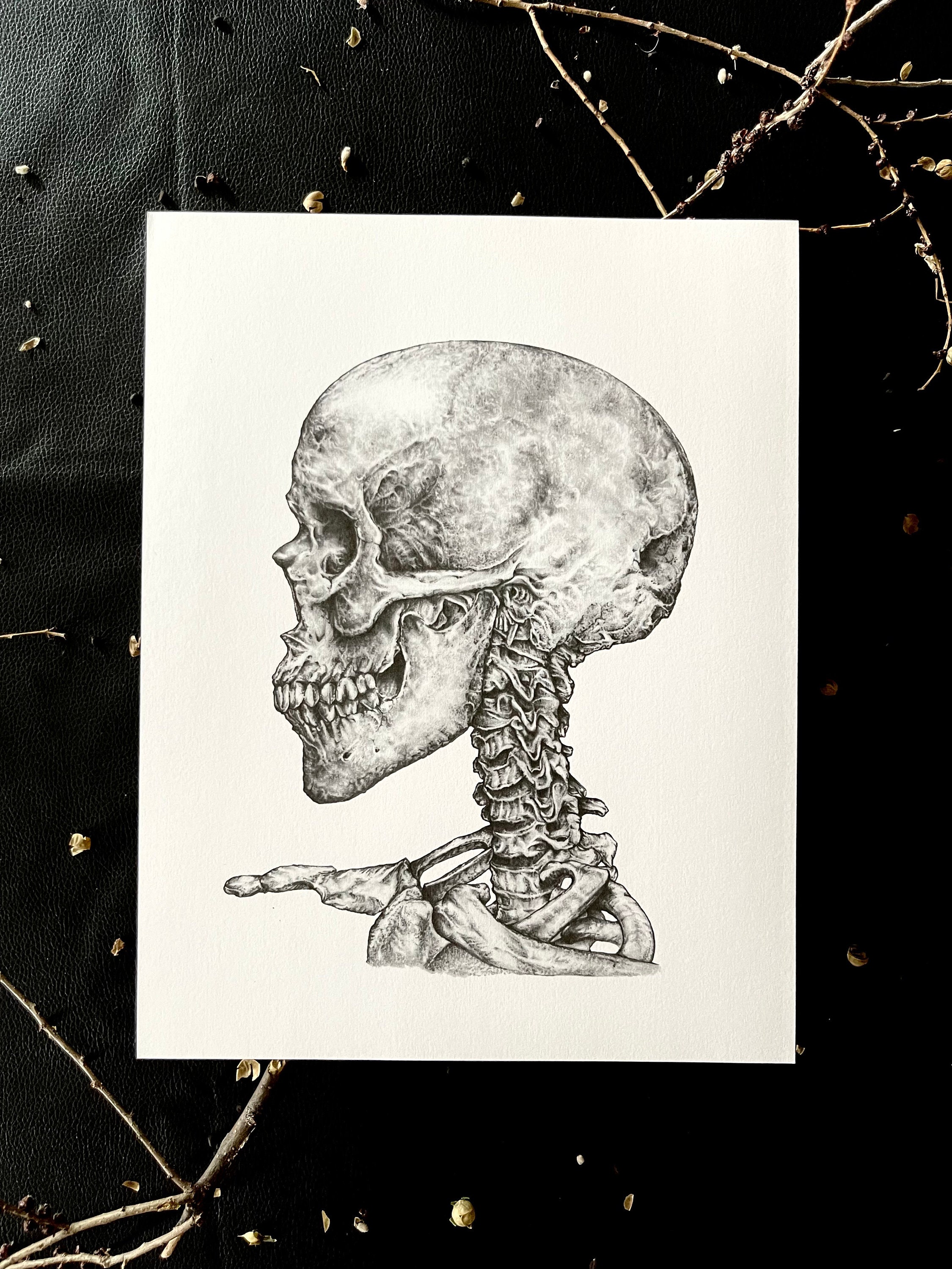 Human Skull With Vertebrae 11