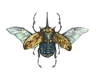Rhino Beetle 11”x14” Print Insect Bugs Color Nature Wings Angel Fairytale Women Empowerment  Mystical Love Art Museum Drawing Colorful Gift