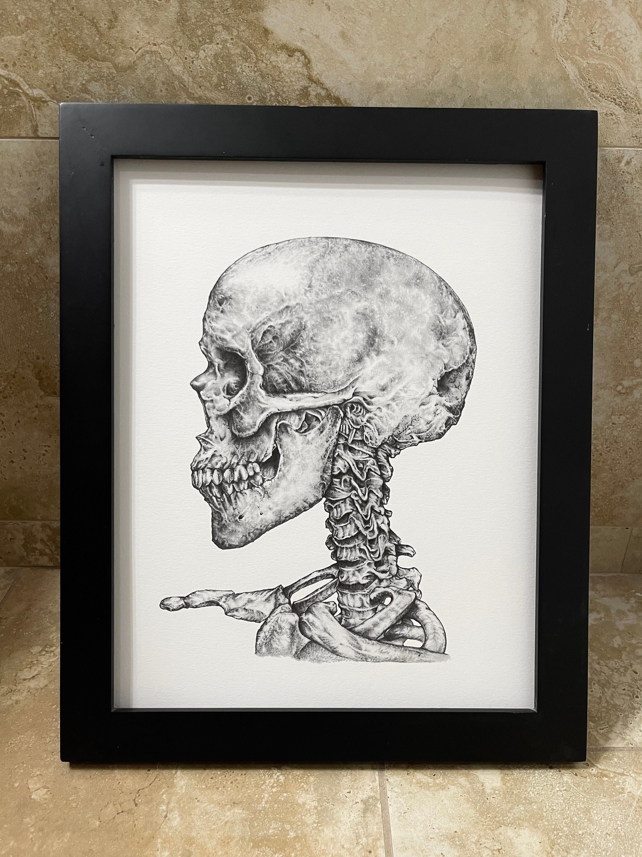 Human Skull With Vertebrae 11