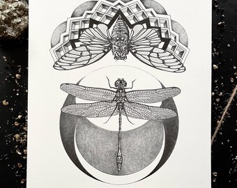 Silence in the Moonlight 11"x14" Giclee Print Insect Bugs Color Nature Fairytale Women Empowerment Black Dark Art Mystical Witch Goth Draw