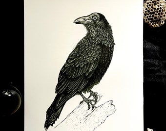 Crow print 11”x14” Black Bird Goth Dark Spooky Halloween Night Darkart Wings Flying Fall Autumn Witch Witchy Spirit Spiritanimal Birds Fly